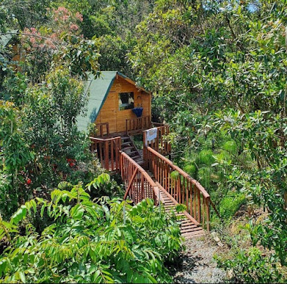 Glamping Pigmalion Santa Elena Antioquia 1 Glamping Glamping Pigmalion Santa Elena Antioquia en Antioquia