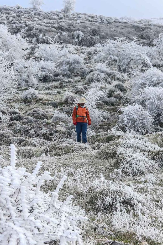 Nieve en Málaga: ¡¿Cuántas veces has visto nieve en Málaga? 2 nieve en malaga cuantas veces has visto nieve en malaga