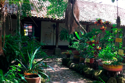 Un viaje excepcional por la Casa de la Segunda Expedición Botánica 2 Un viaje excepcional por la Casa de la Segunda Expedición Botánica